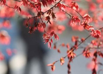 原創(chuàng)丨這一次，只為你而來