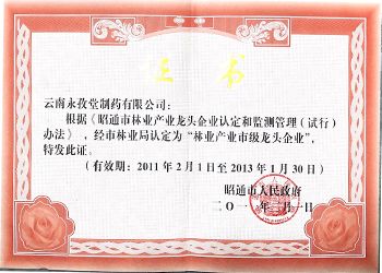 林業(yè)產(chǎn)業(yè)市級(jí)龍頭企業(yè)