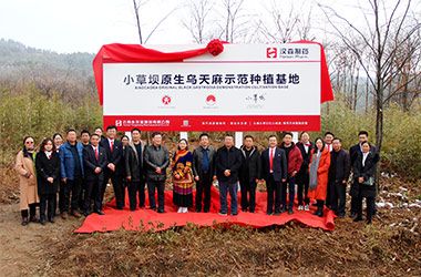 漢森制藥首個(gè)道地藥材基地落戶(hù)昭通